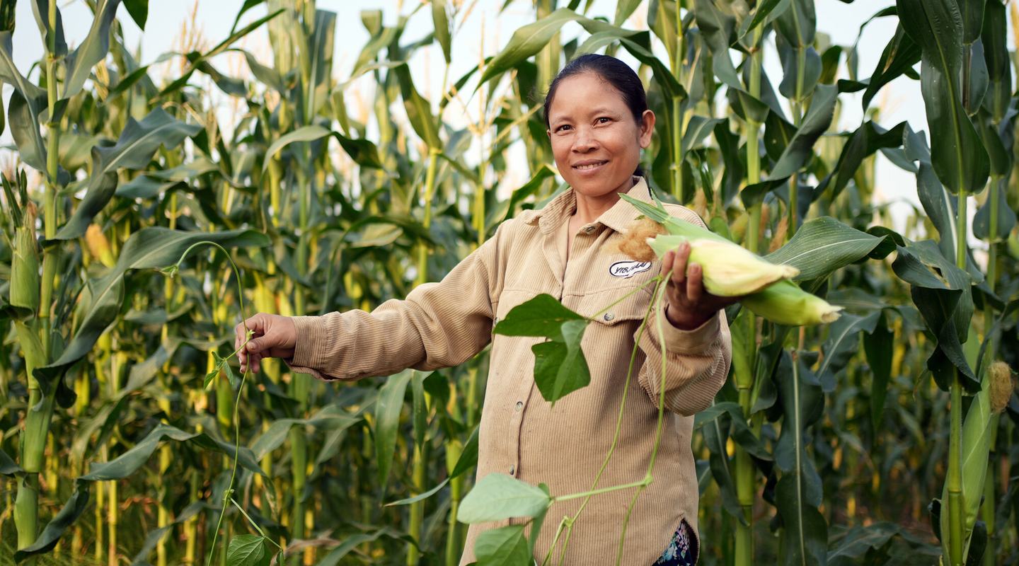 Sophea holds up some sweetcorn she has grown in her field in Steung Treng, Cambodia.
