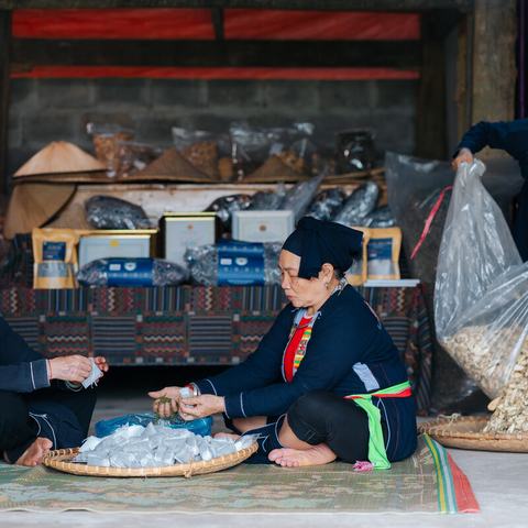 Two women are sat cross-legged on the floor opposite each other making herbal health products. A third woman is stood near them emptying a large sack of herbs into a flat basket.