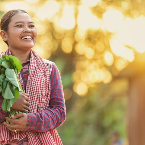 Person outdoors holding a large bundle of freshly harvested leafy green vegetables, wearing a checked shirt and patterned scarf. Soft golden sunlight and blurred greenery in the background create a warm rural setting.