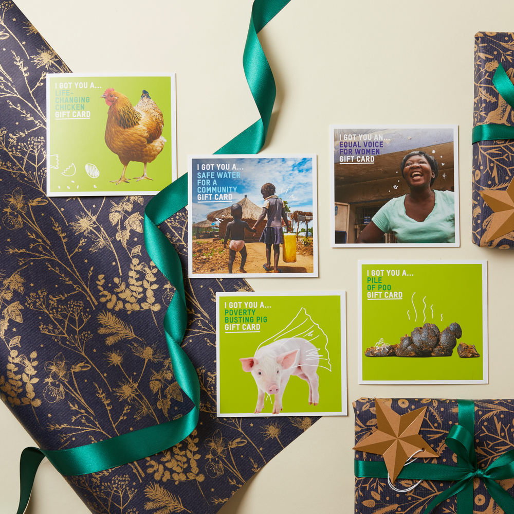 Charity gift cards featuring people and animals and manure all ready to be wrapped with wrapping paper and ribbon
