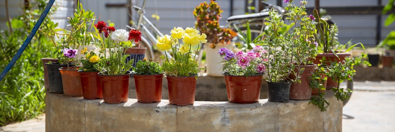 A collection of colorful potted flowers and plants arranged on a circular concrete structure in an outdoor setting. The flowers include red, yellow, pink, and purple blooms in terracotta and black plastic pots. In the background, a bicycle leans against a