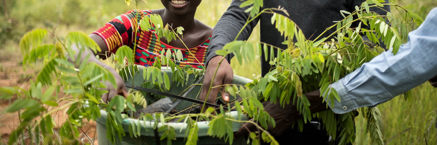 Jessy Nkhoma and Isaac Mzembe arrange tree seedlings