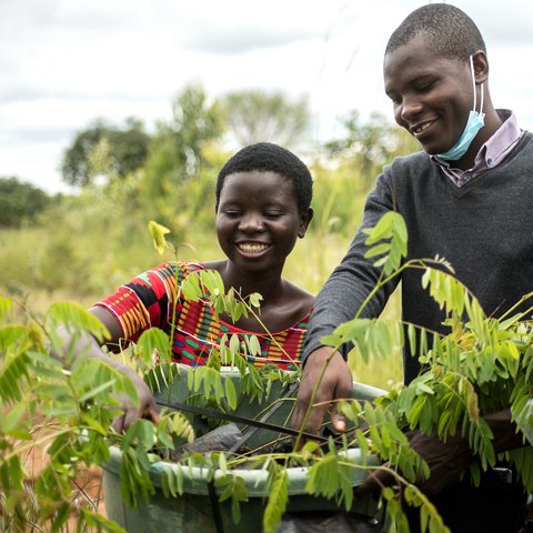 Jessy Nkhoma and Isaac Mzembe arrange tree seedlings