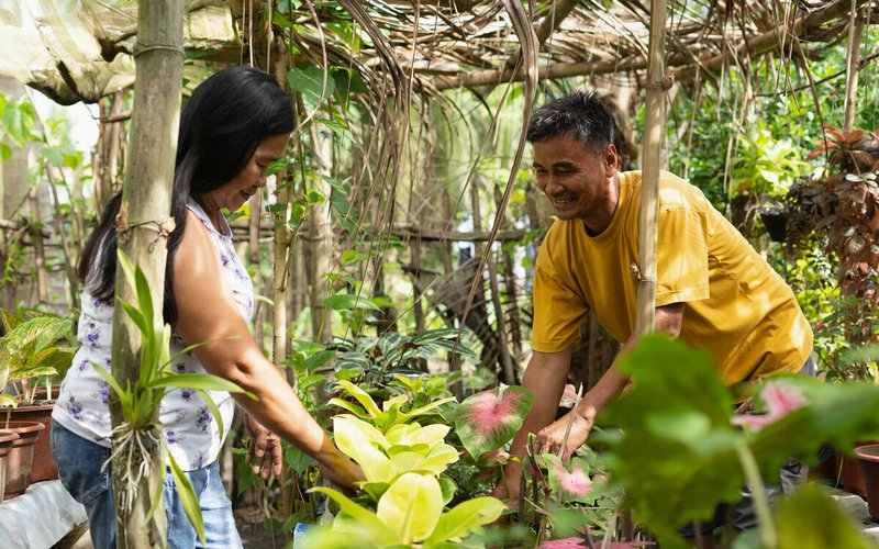 Johnny and Juanita Paz shares work such as tending their home garden in Datu Abdullah Sangki, Maguindanao.