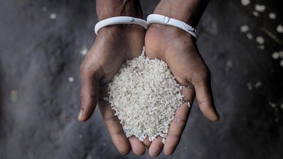 Rice in Niyoti's hands