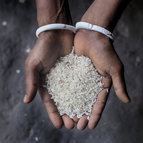 Rice in Niyoti's hands