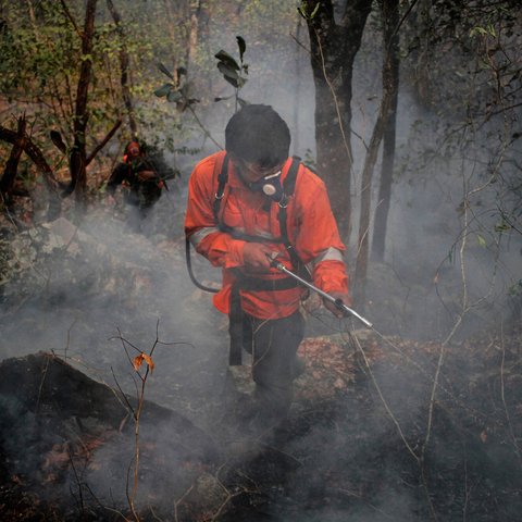 A man wearing a mask and high vis puts water on flames in the jungle