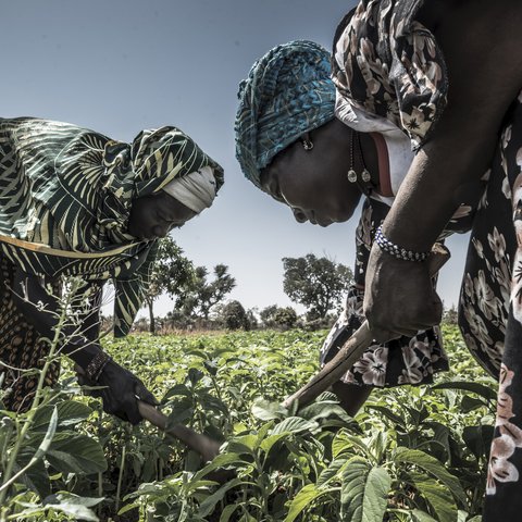 Women working in field