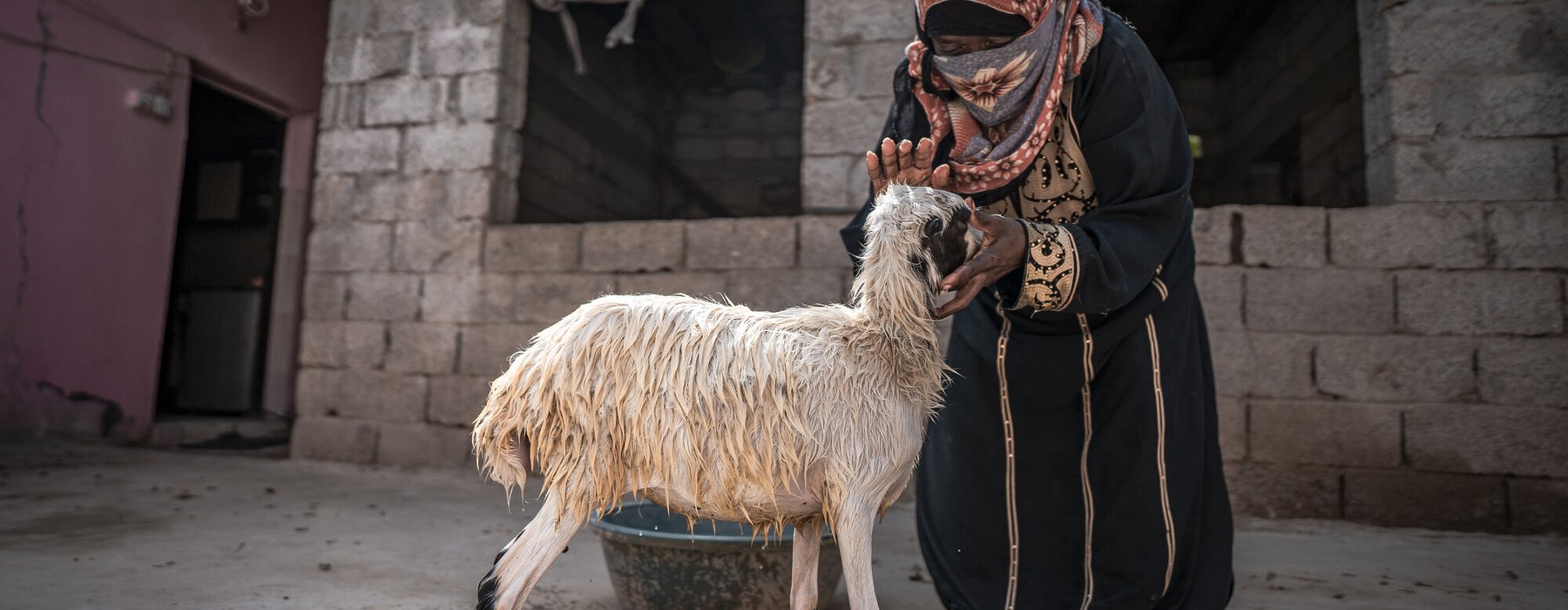 Fawzia in Abyan, Yemen, with one of the goats that her Oxfam cash grant allowed her to purchase.