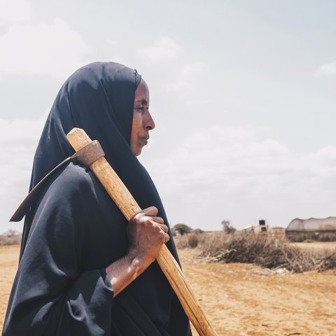 Diyaara in Wajir, Kenya