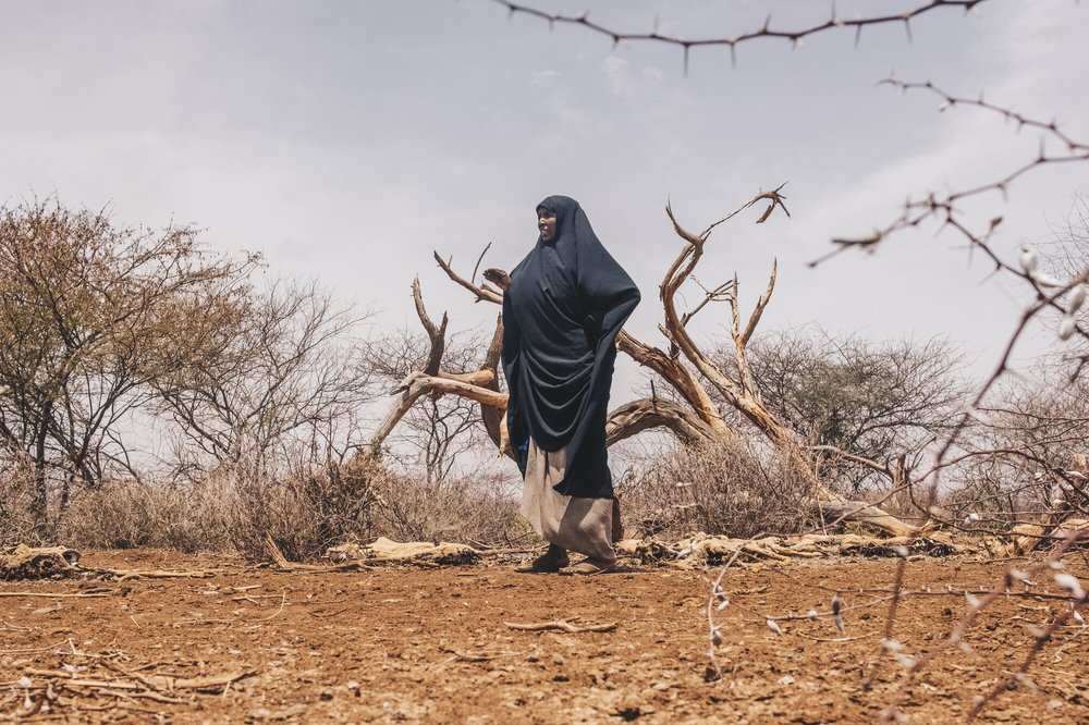 Diyaara wears a black hijab and gestures to the carcasses of her family's livestock on the dusty ground beneath twisted trees.