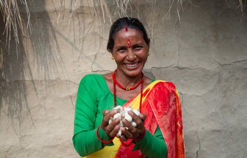 Bimala Devi Bhatta holds garlic grown by members of her community’s women’s group