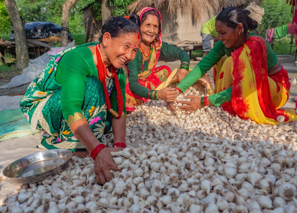 Women celebrate the success of their garlic farming project