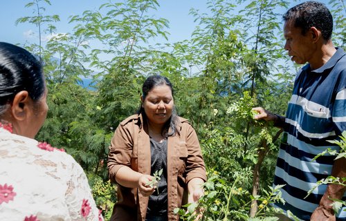 Magda, Oxfam's ICDRC Project Manager in Larantuka, Indonesia