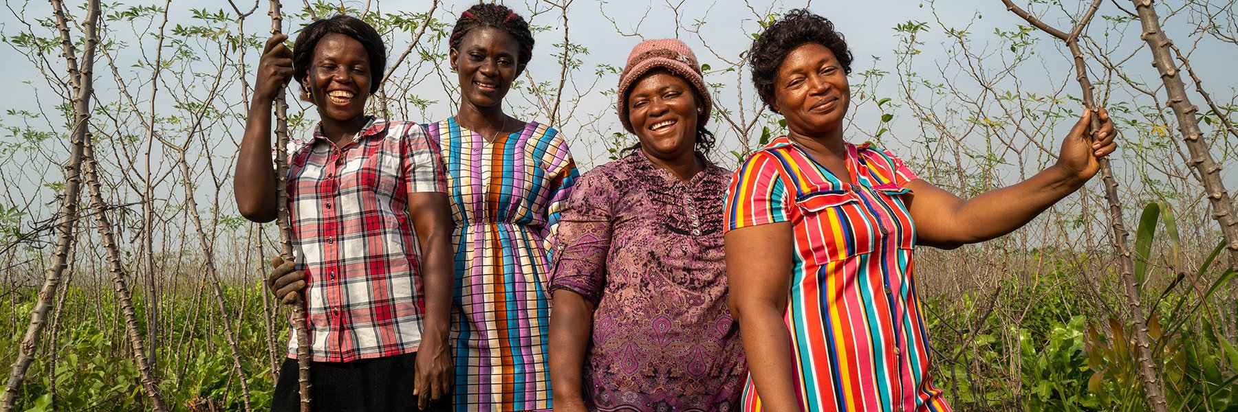 Mariatu, Aminata, Ramatu and Magdalene on their 14 acre cassava farm in Sierra Leone.