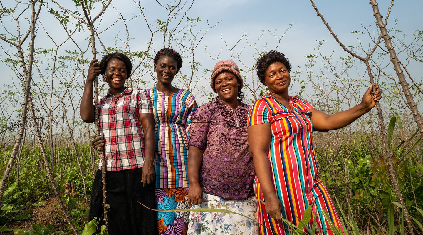 Mariatu, Aminata, Ramatu and Magdalene on their 14 acre cassava farm in Sierra Leone.