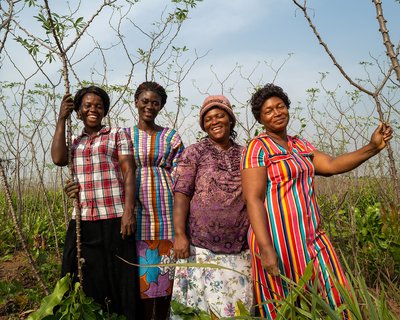 Mariatu, Aminata, Ramatu and Magdalene on their 14 acre cassava farm in Sierra Leone.