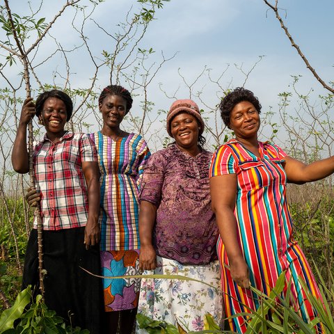 Mariatu, Aminata, Ramatu and Magdalene on their 14 acre cassava farm in Sierra Leone.