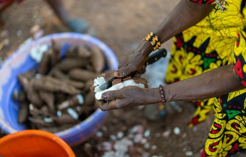 Members of FEMINET prepare dinner with cassava harvested from their farm. Port Loko, Sierra Leone.