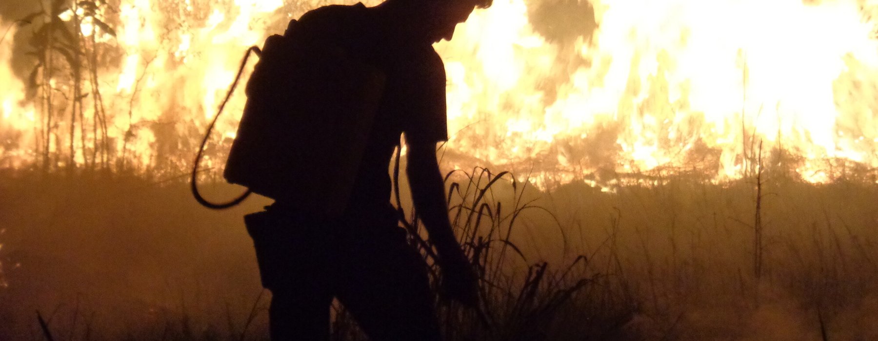 A silhouetted firefighter stands among flames in the rainforest.