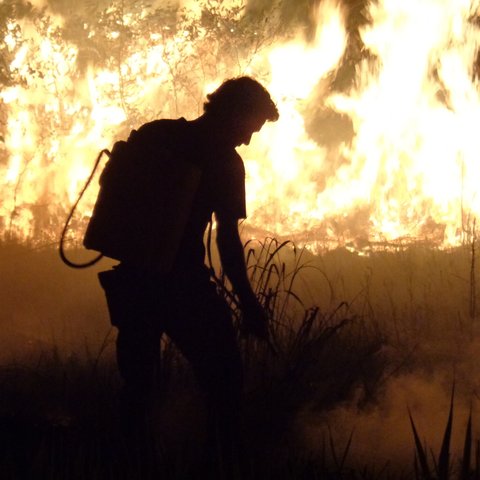 A silhouetted firefighter stands among flames in the rainforest.