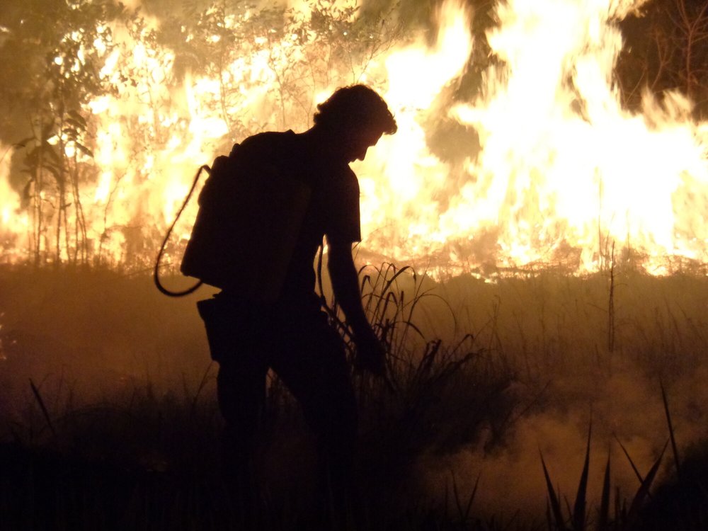 A silhouetted firefighter stands among flames in the rainforest.