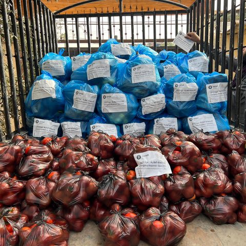 Piles of fruit and vegetables in the back of a lorry in Gaza.