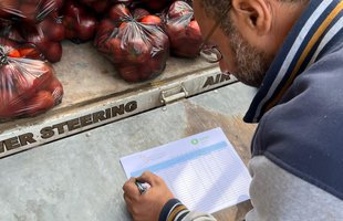 A member of the Economic and Social Development Center of Palestine (ESDC) ticks off vegetable packages on a list.