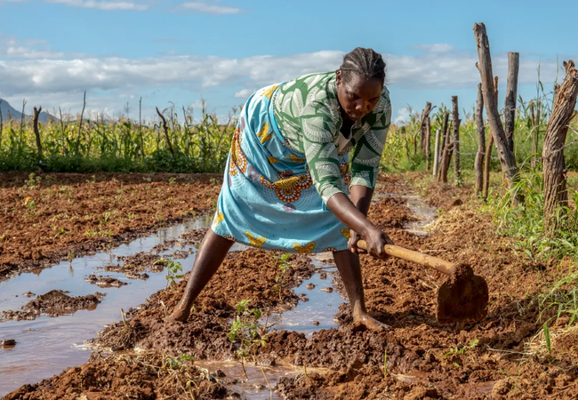 Sarah has been farming for more than 25 years. Photo: Cynthia Matonhodze/Oxfam