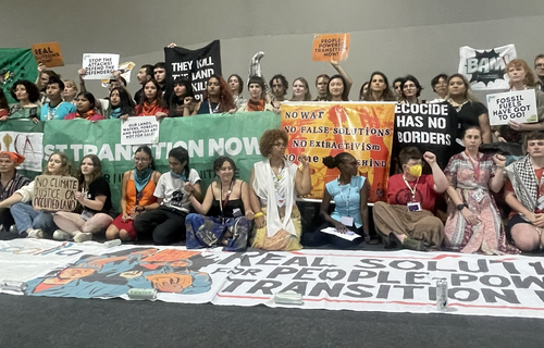 Youth Activists holding banners at COP30