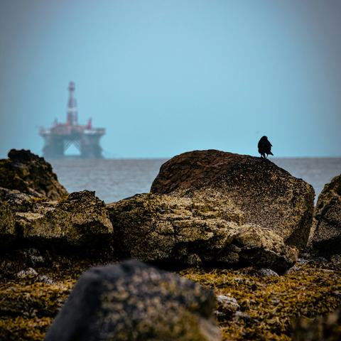Oil rig on the horizon in the sea. Foreground is rocks and a bird perched on one.