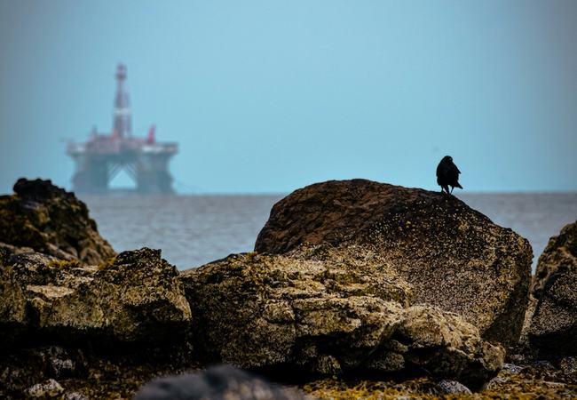 Oil rig on the horizon in the sea. Foreground is rocks and a bird perched on one.