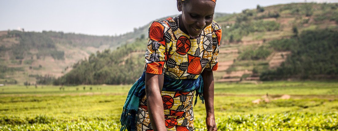 Virginie Mukagatare in her tea plantation in Rwanda.