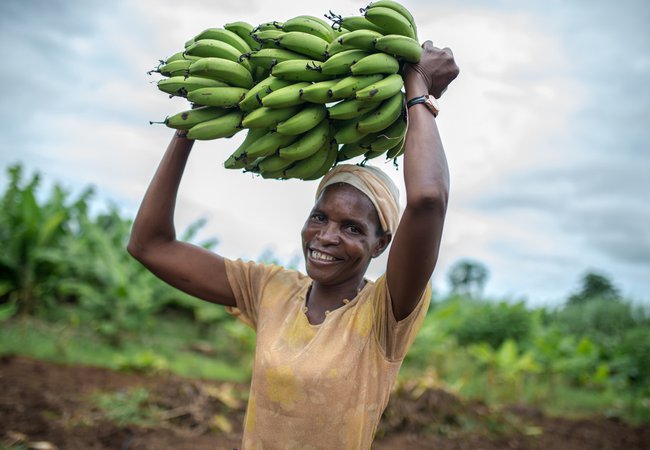 Idah, a member of the Kabwadu women's club, holds a bunch of bananas in Chirundu district, Zambia.