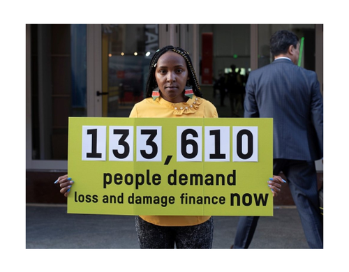 Climate activist Elizabeth Wathuti holds a sign reading '133,610 people demand loss and damage finance now'.