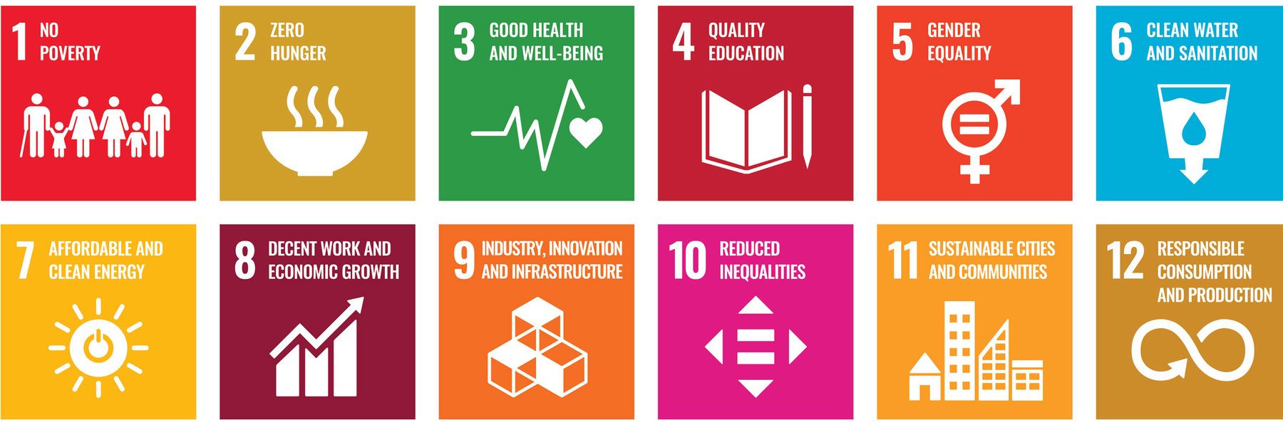 Sustainable Development Goals UN Poster