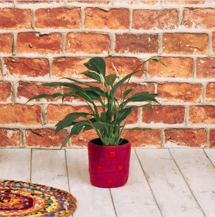 Small pink polka dot felt storage basket, being used as a plant pot