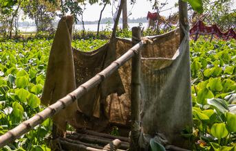A traditional, open latrine in the waterlogged haor region of Kalachanpur, Sunamganj