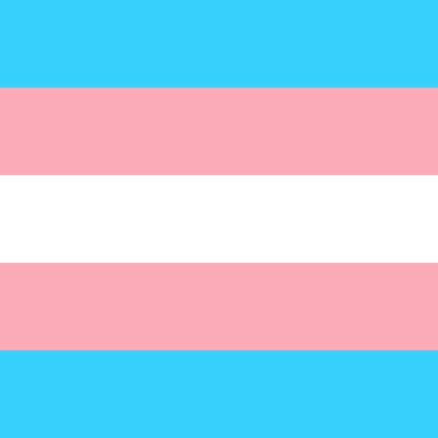 The trans flag with horizontal stripes in three colours - baby blue (boys) baby pink (girls) and white for those who are transitioning, intersex or consider themselves as having an unidentified gender